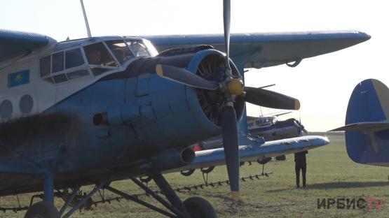 К авиаобработкам против гнуса приступили в пойме Павлодарской области